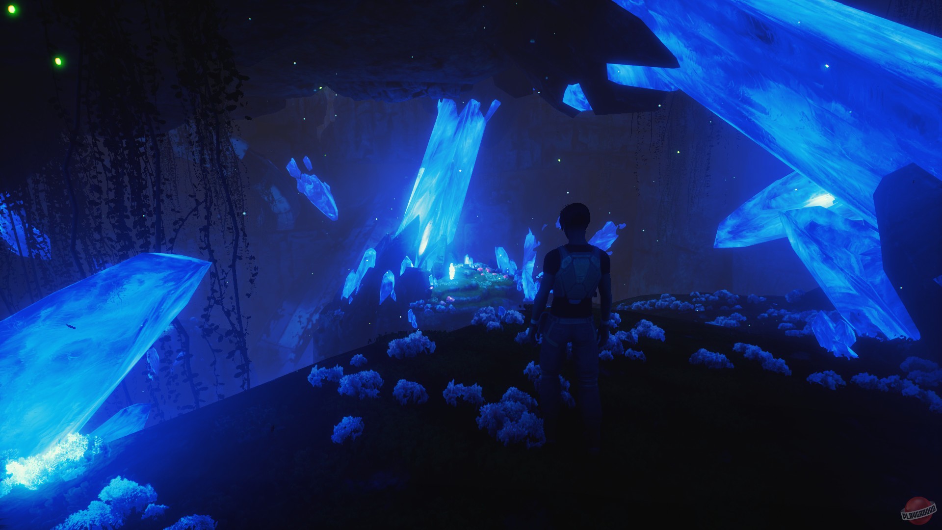 Скриншот из игры Wild Life - 24