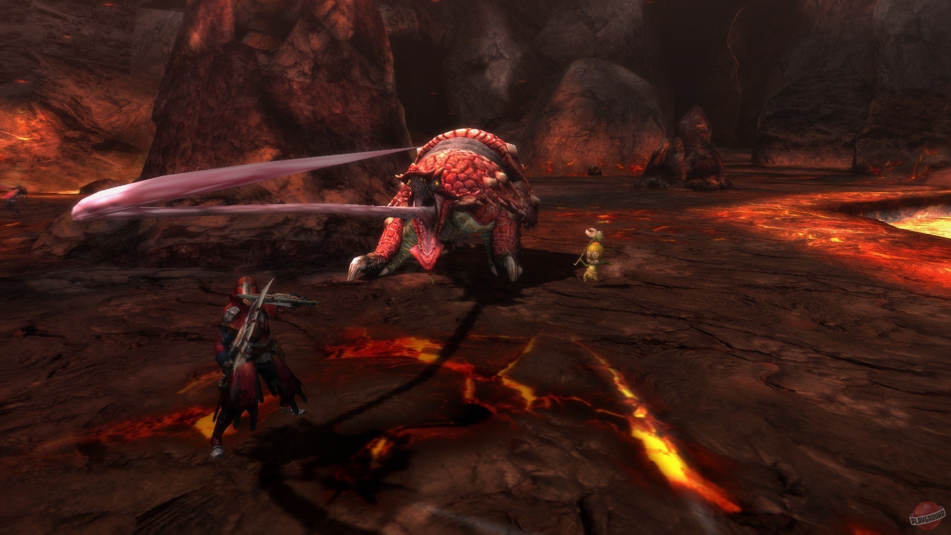 Скриншот из игры Monster Hunter 3 Ultimate - 26