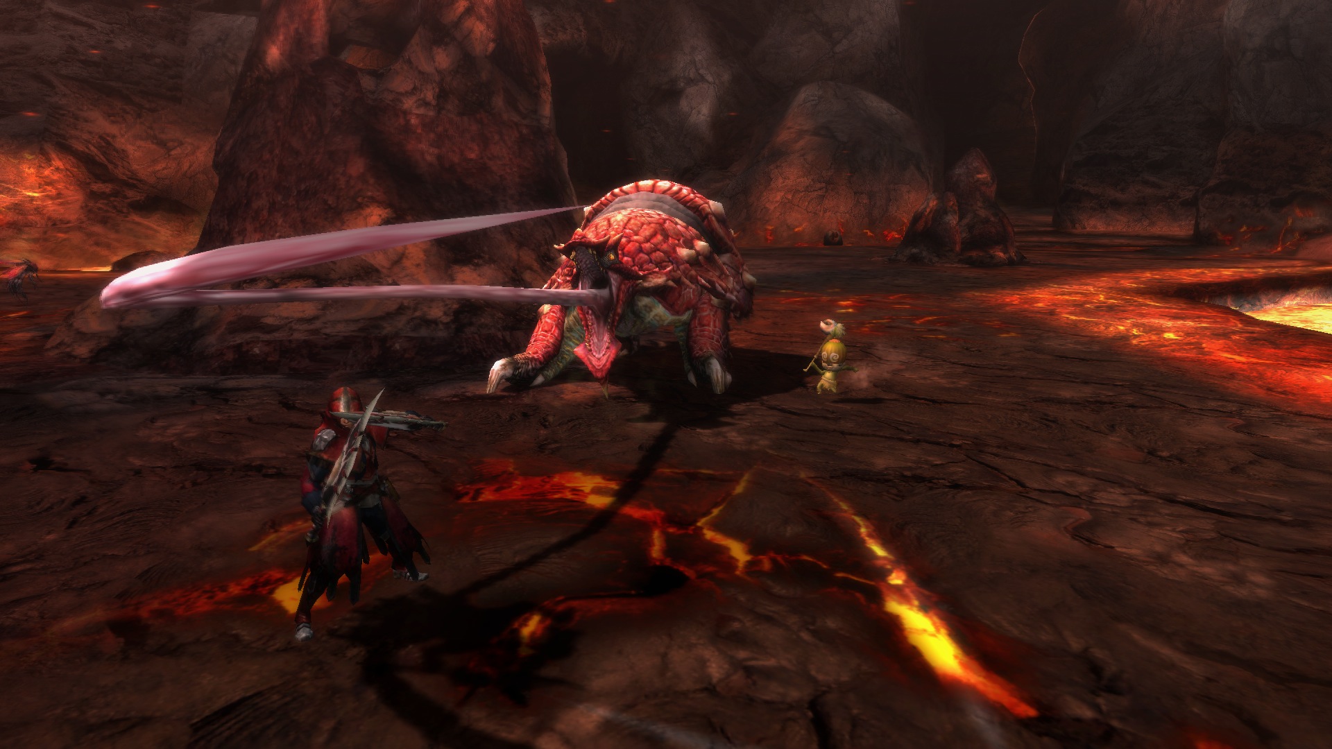 Скриншот из игры Monster Hunter 3 Ultimate - 51