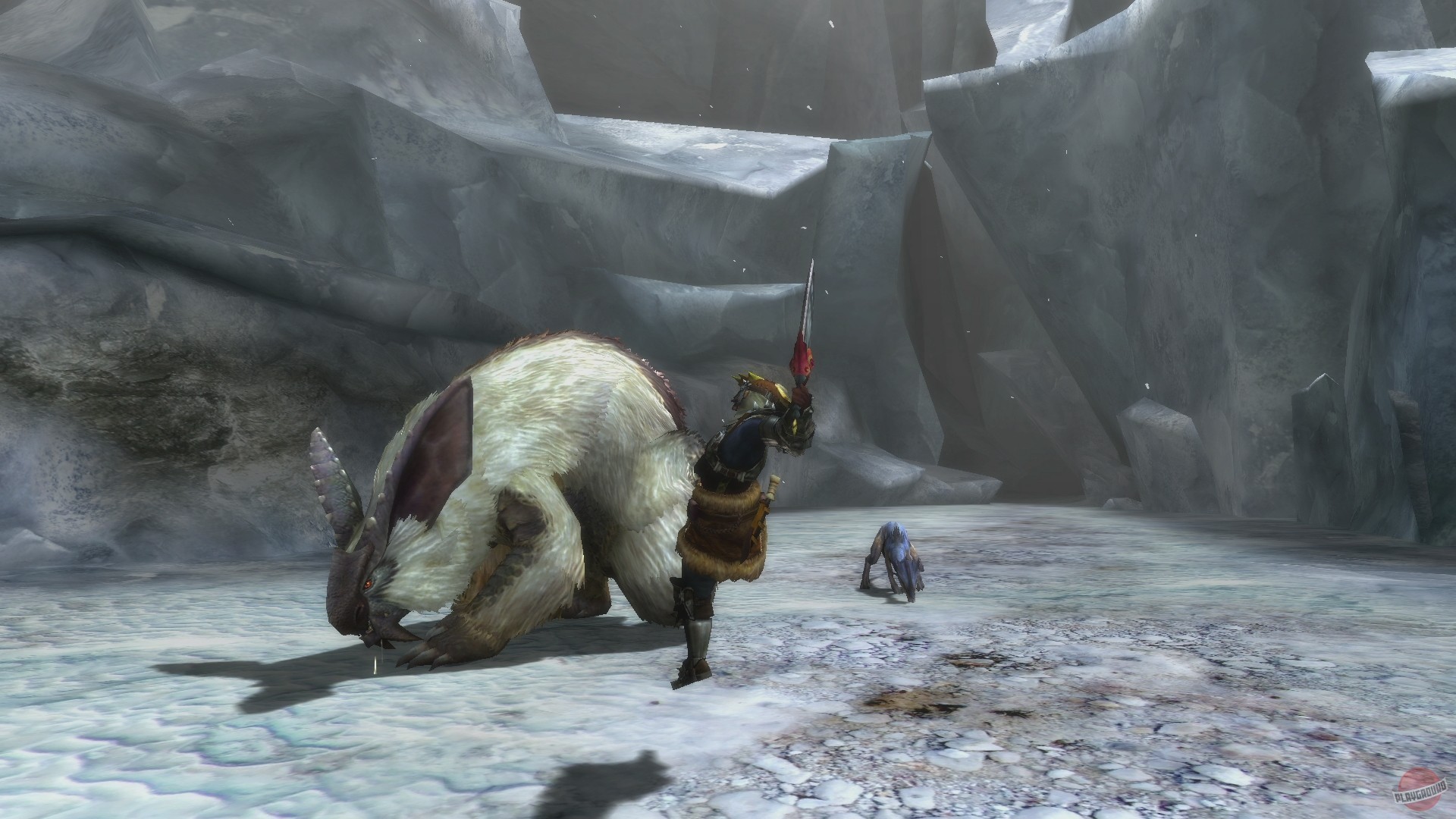 Скриншот из игры Monster Hunter 3 Ultimate - 77
