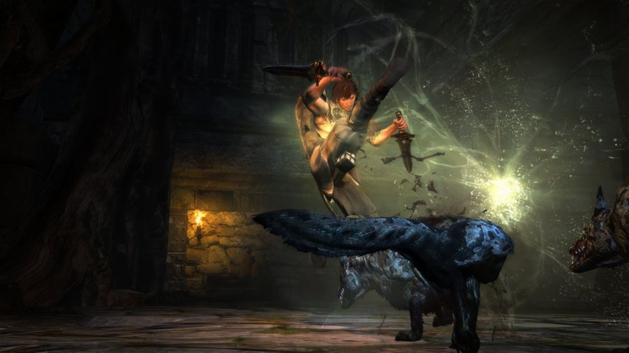 Скриншот из игры Dragon's Dogma: Dark Arisen - 1