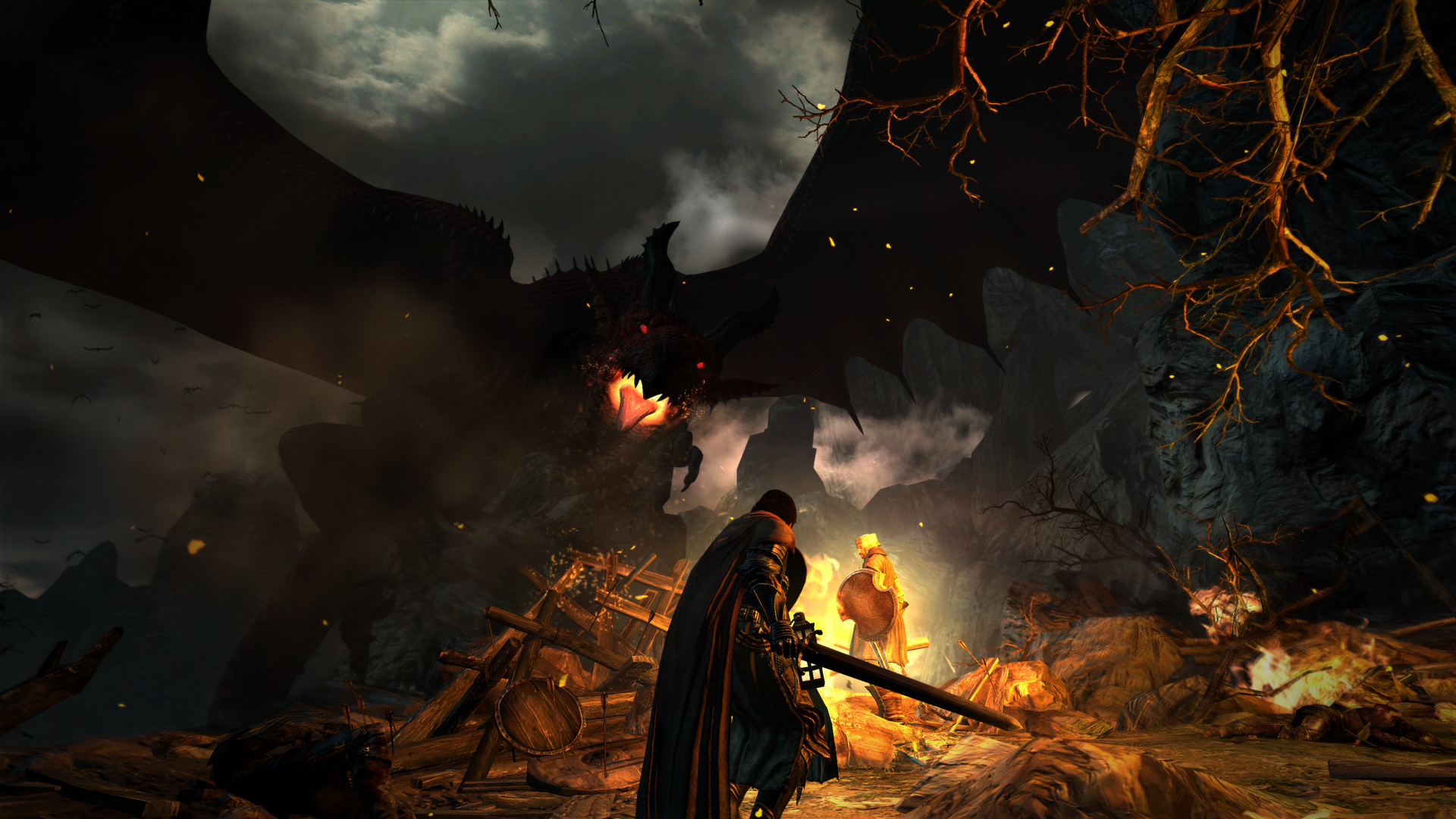 Скриншот из игры Dragon's Dogma: Dark Arisen - 33