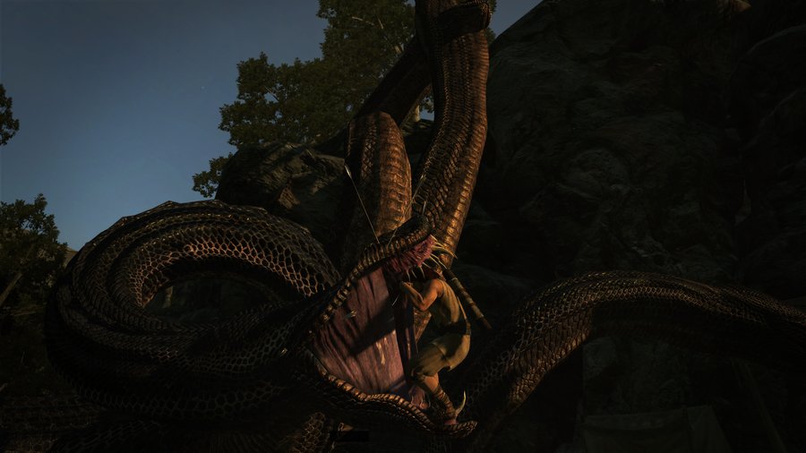 Скриншот из игры Dragon's Dogma: Dark Arisen - 160