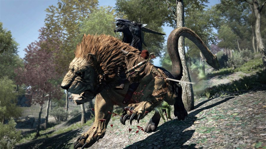 Скриншот из игры Dragon's Dogma: Dark Arisen - 171