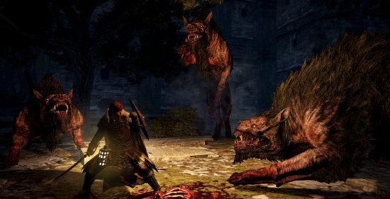Скриншот из игры Dragon's Dogma: Dark Arisen - 85