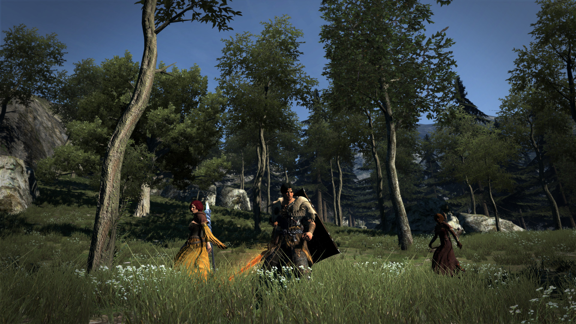 Скриншот из игры Dragon's Dogma: Dark Arisen - 12