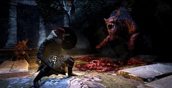 Скриншот из игры Dragon's Dogma: Dark Arisen - 145
