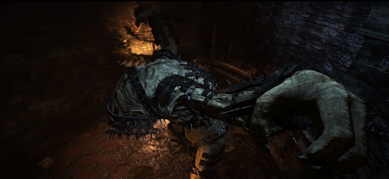 Скриншот из игры Dragon's Dogma: Dark Arisen - 150