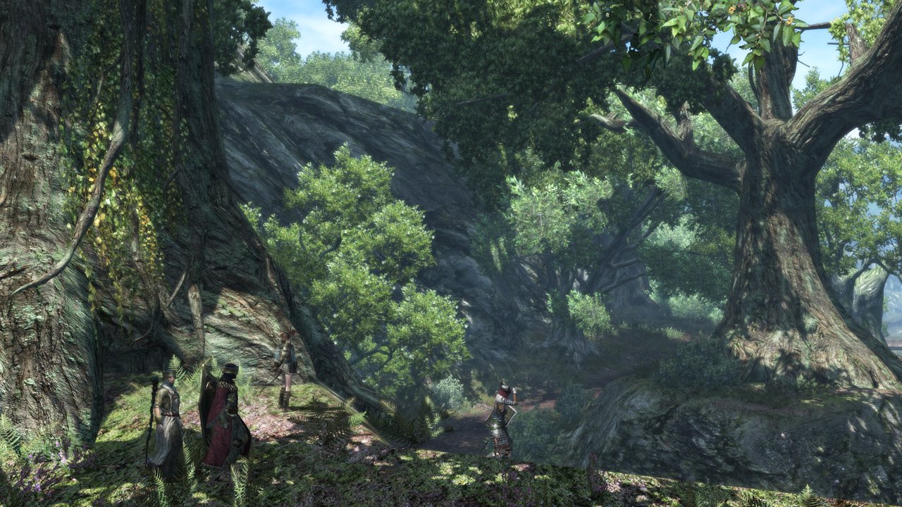 Скриншот из игры Dragon’s Dogma Online - 142