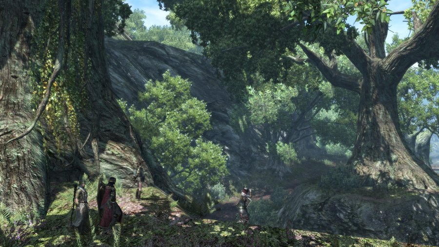 Скриншот из игры Dragon’s Dogma Online - 60