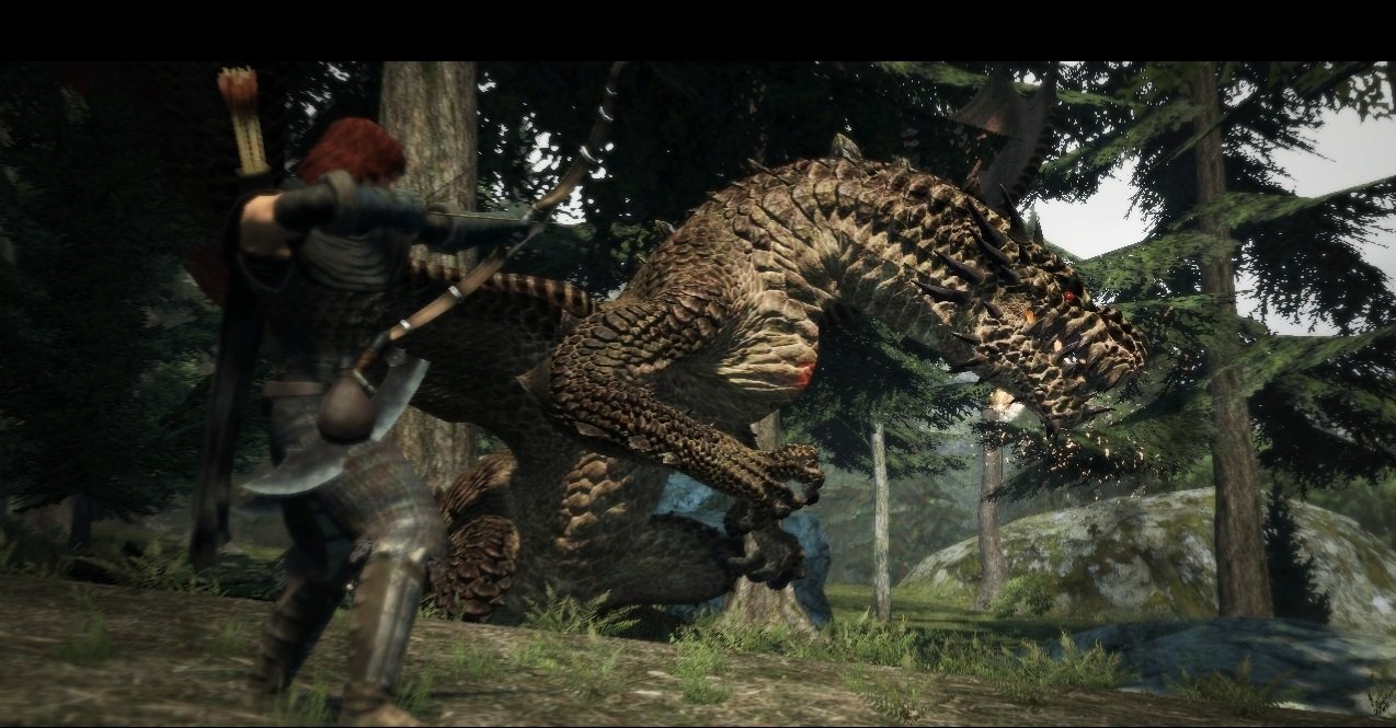 Скриншот из игры Dragon's Dogma - 166
