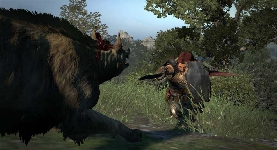 Скриншот из игры Dragon's Dogma - 133