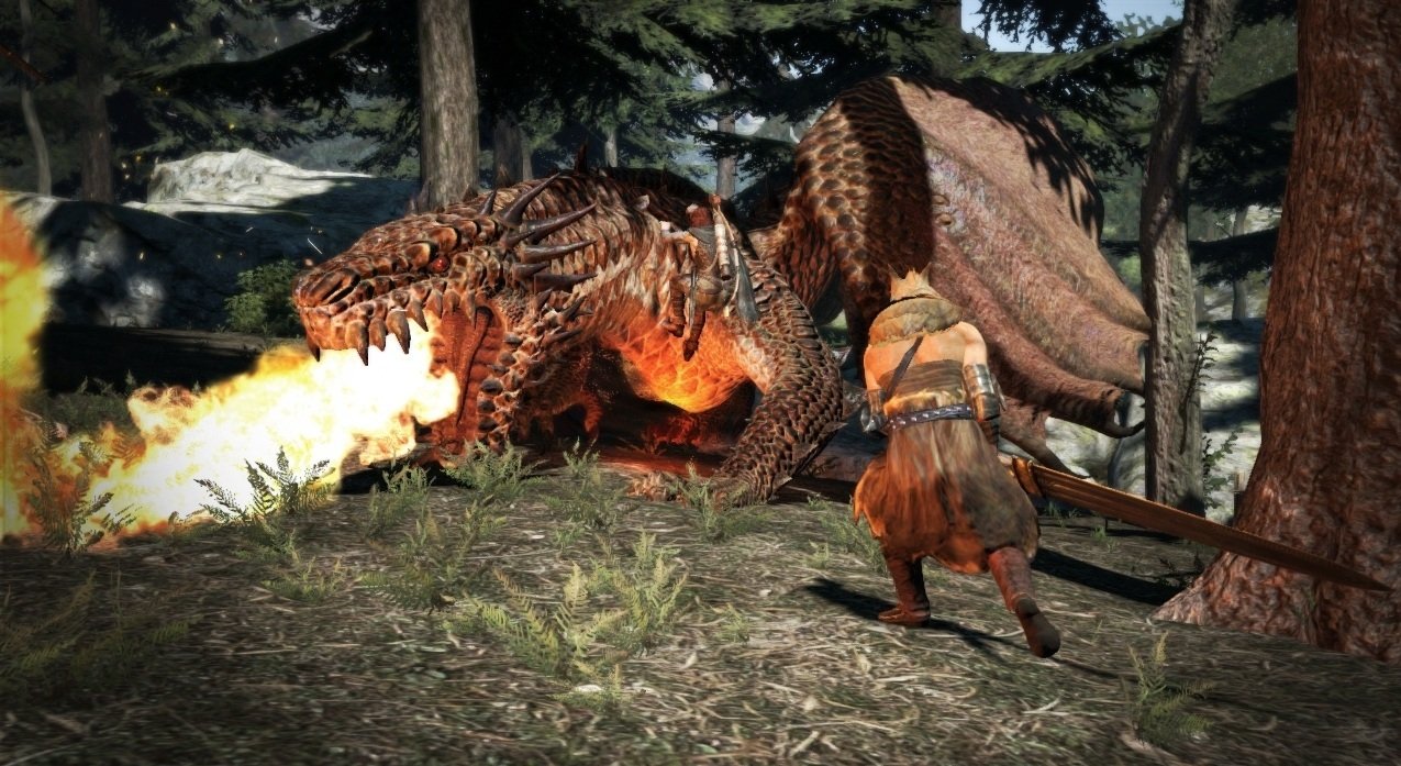 Скриншот из игры Dragon's Dogma - 116