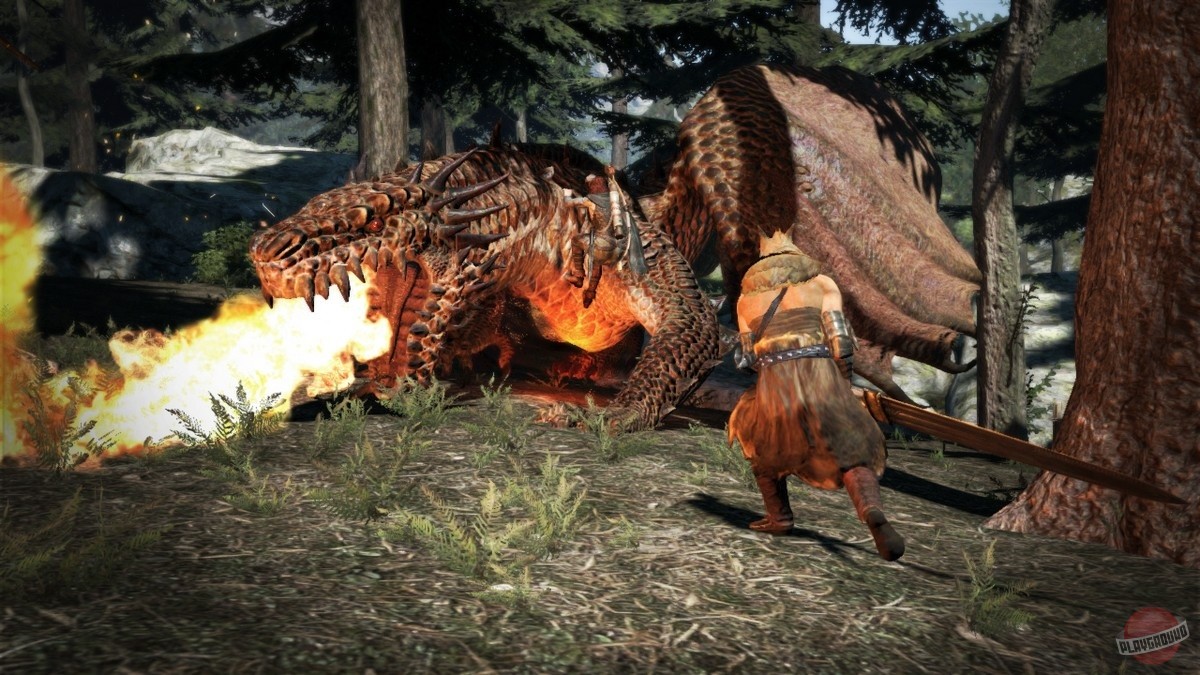 Скриншот из игры Dragon's Dogma - 27
