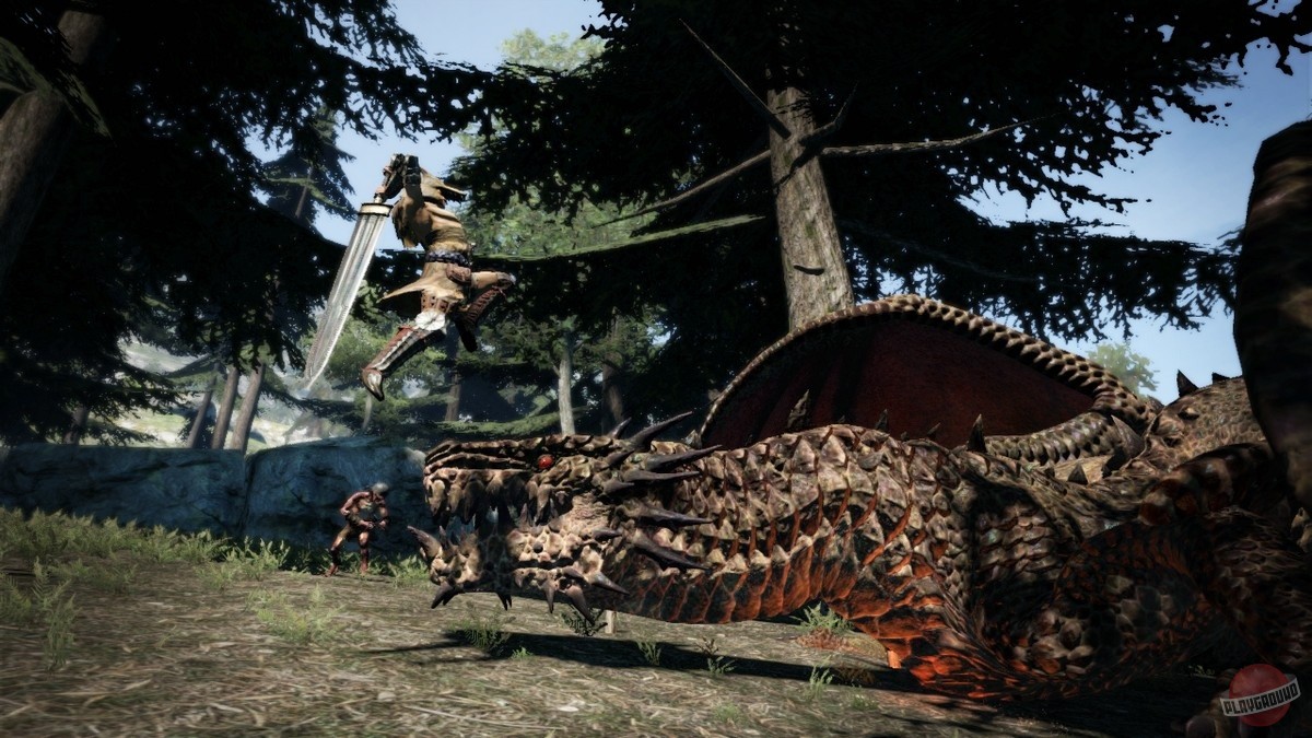 Скриншот из игры Dragon's Dogma - 46