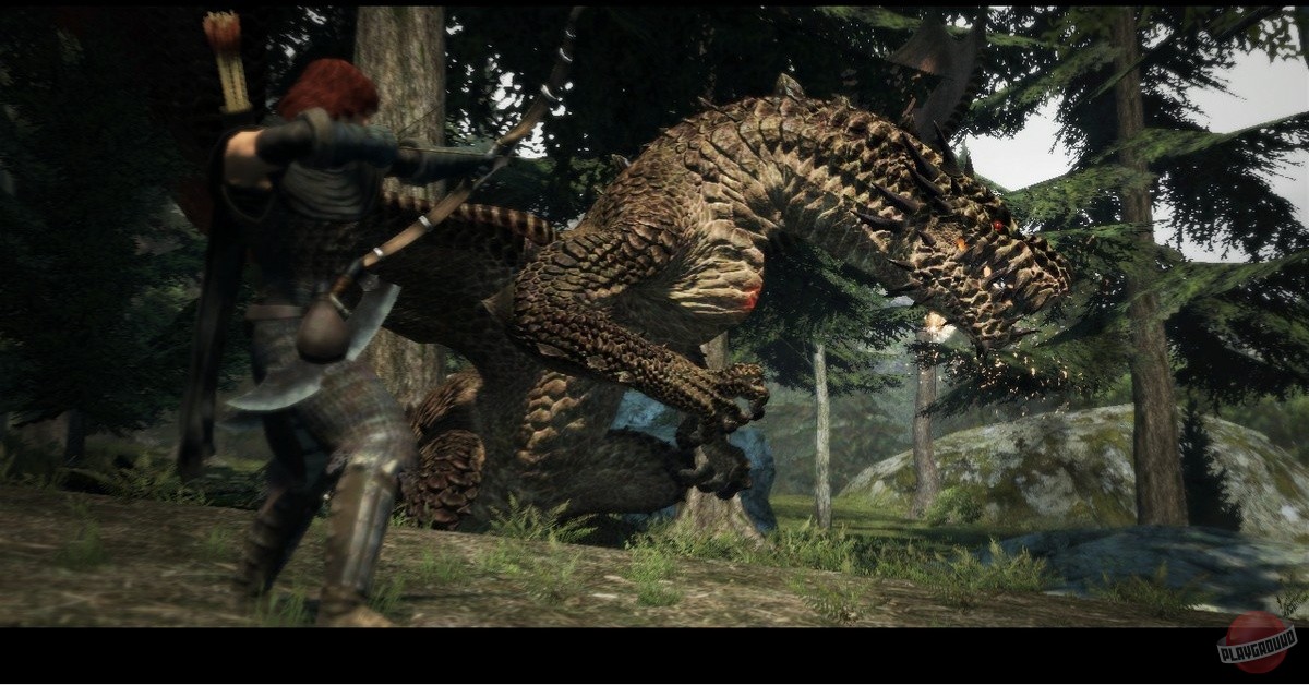 Скриншот из игры Dragon's Dogma - 61