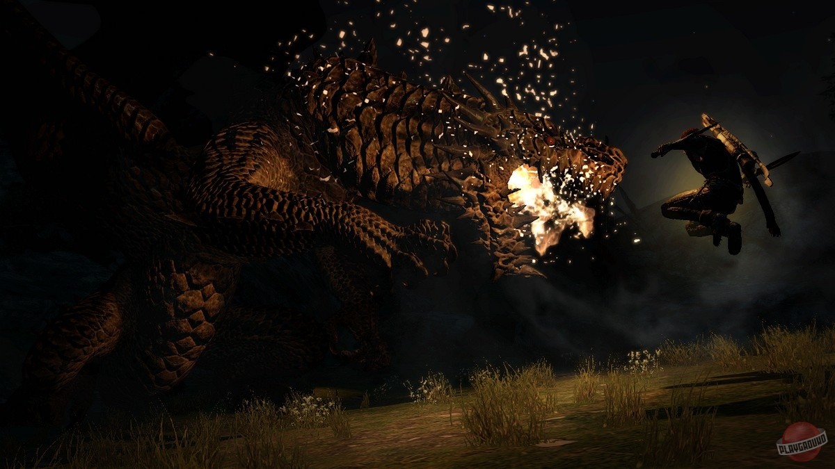 Скриншот из игры Dragon's Dogma - 32