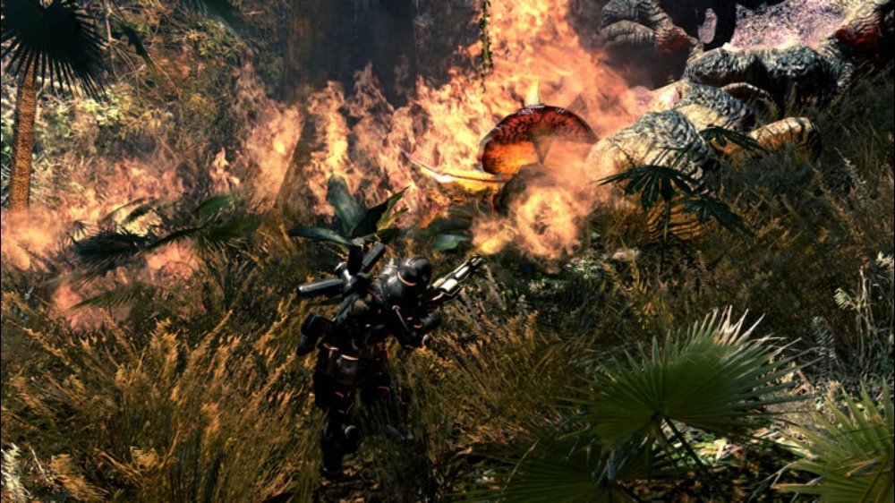 Скриншот из игры Lost Planet 2 - 190