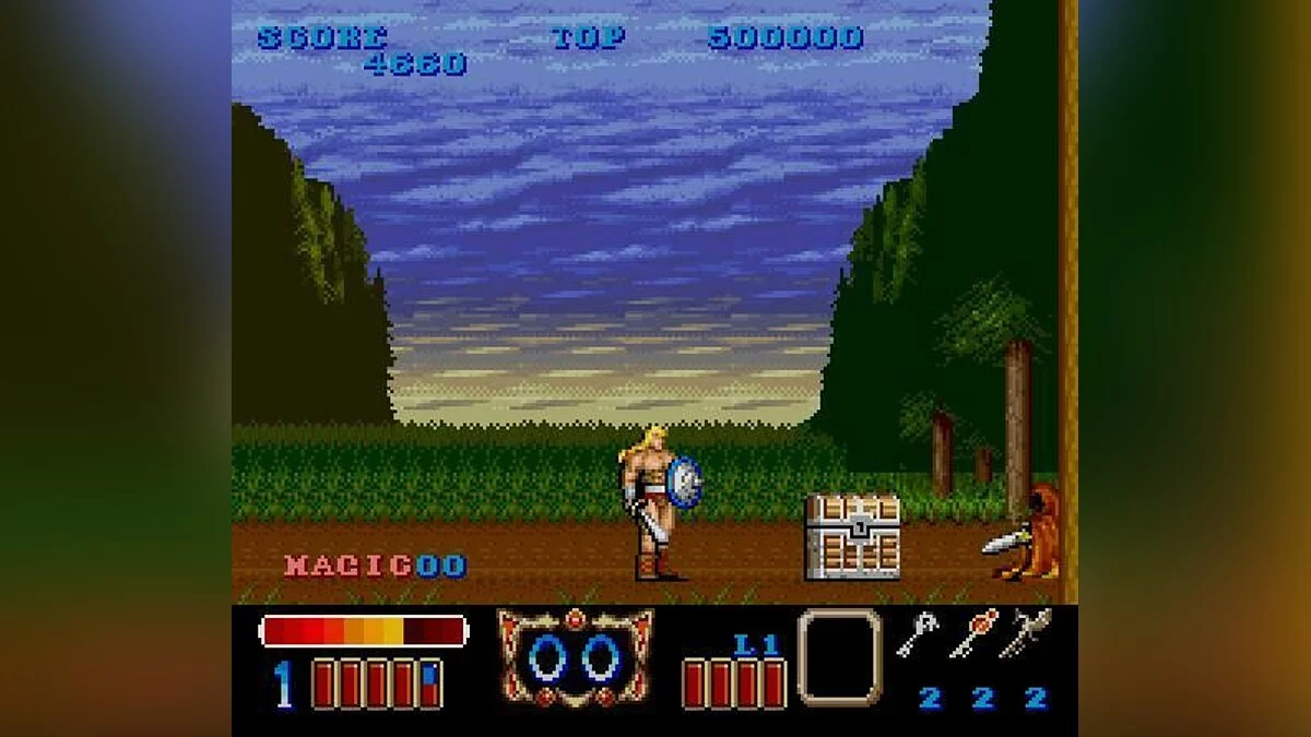 Скриншот из игры Magic Sword - 8