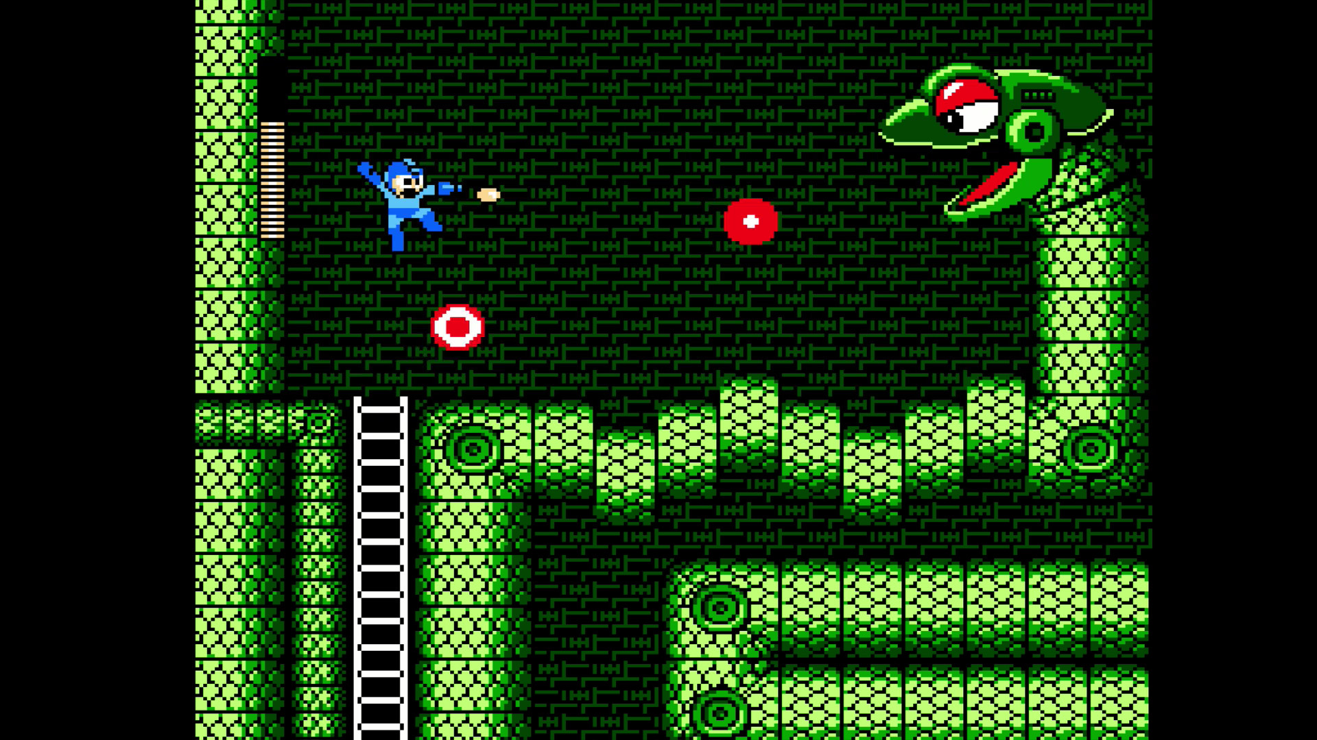 Скриншот из игры Mega Man Legacy Collection - 11