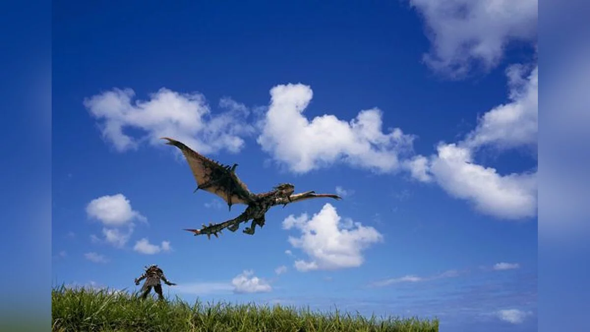 Скриншот из игры Monster Hunter Freedom - 9