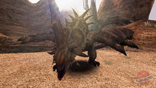 Скриншот из игры Monster Hunter Freedom - 21