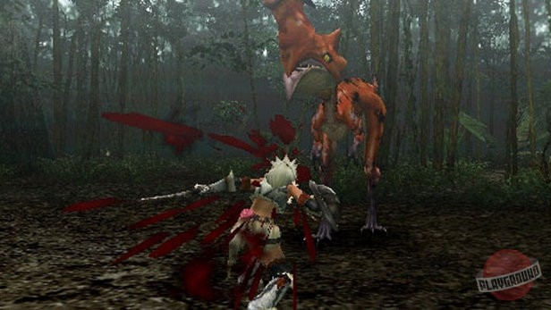 Скриншот из игры Monster Hunter Freedom - 20