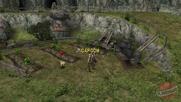 Скриншот из игры Monster Hunter Freedom - 12