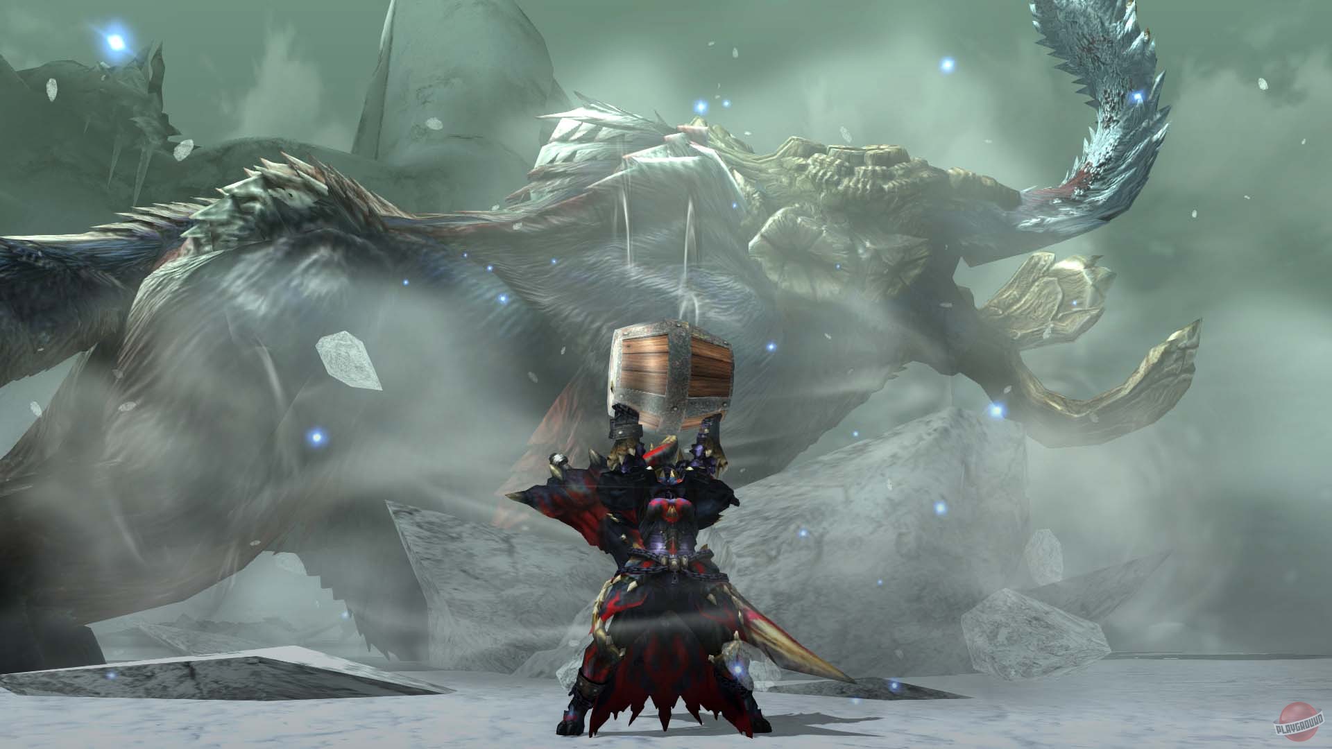 Скриншот из игры Monster Hunter Generations - 68
