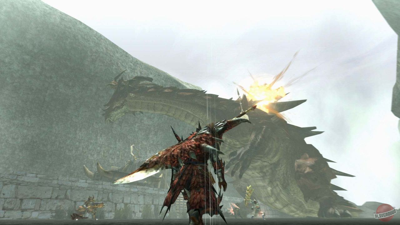 Скриншот из игры Monster Hunter Generations - 71