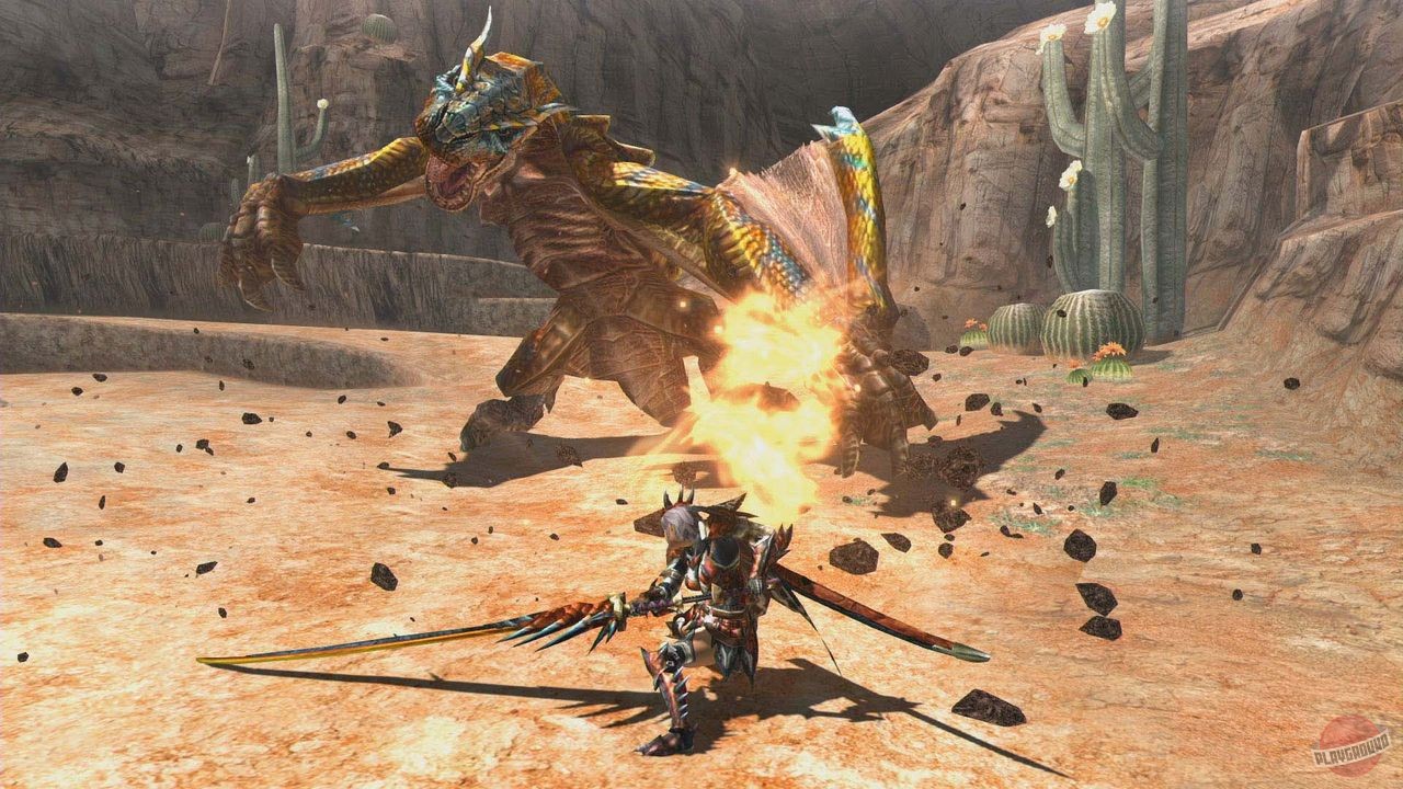 Скриншот из игры Monster Hunter Generations - 52