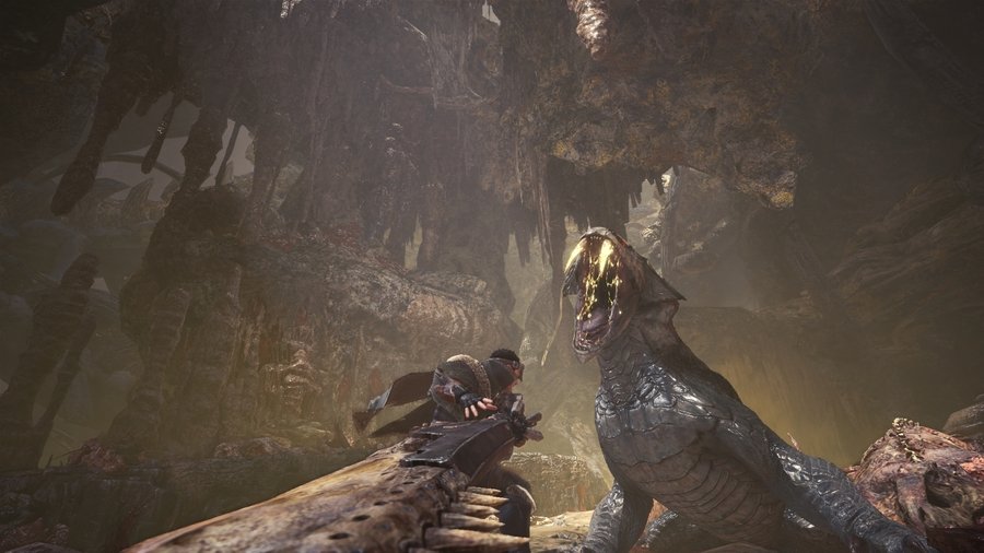 Скриншот из игры Monster Hunter: World - 66