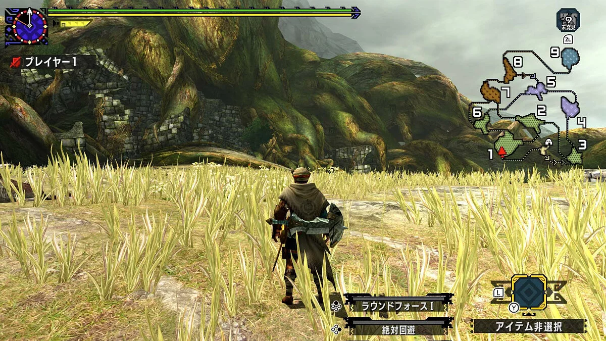 Скриншот из игры Monster Hunter XX - 14