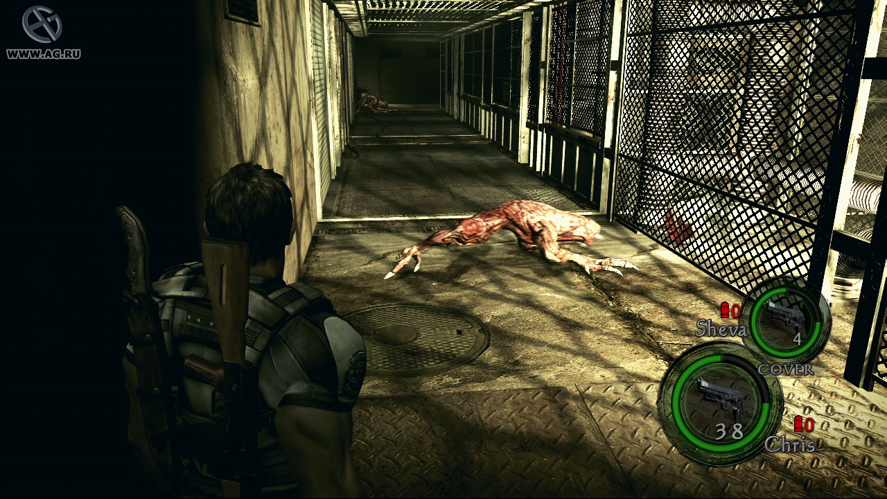 Скриншот из игры Resident Evil 5 - 82