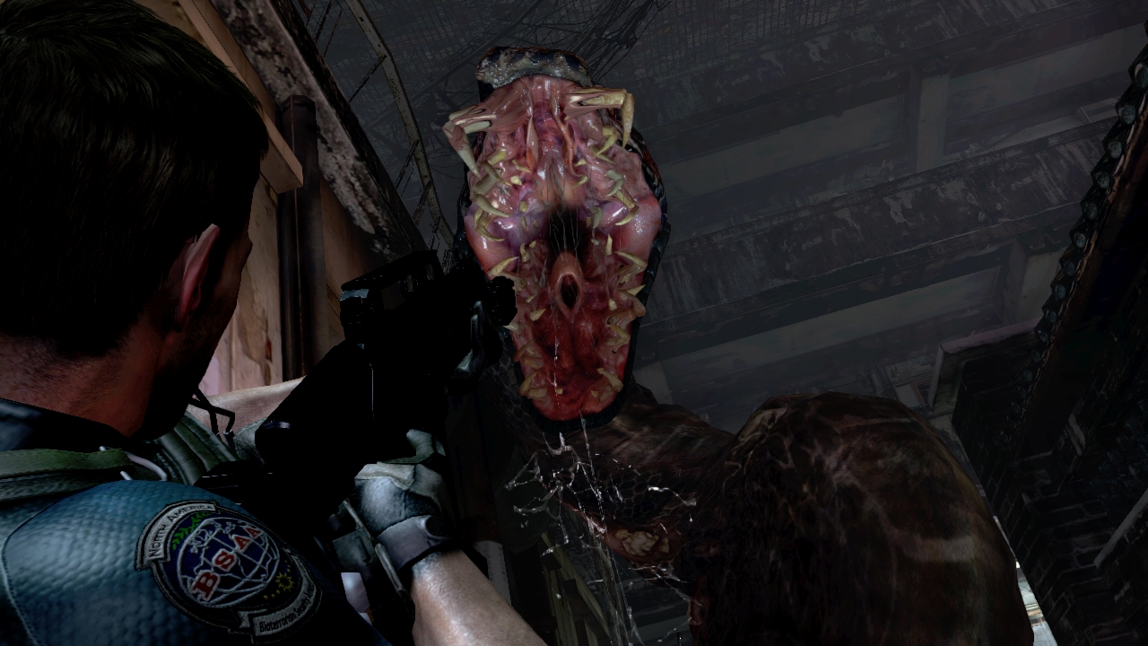 Скриншот из игры Resident Evil 6 - 246