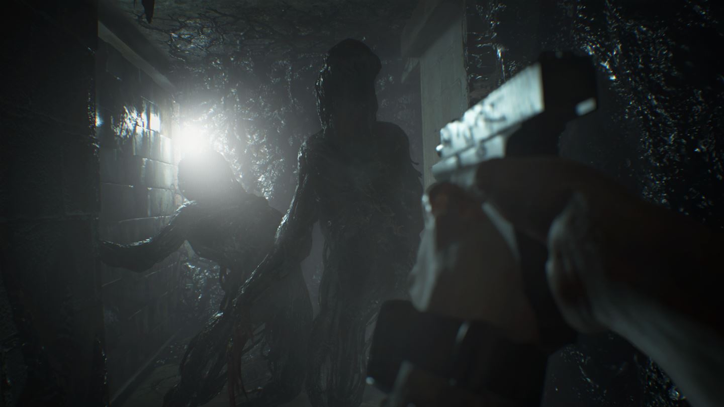 Скриншот из игры Resident Evil 7: Biohazard - 163