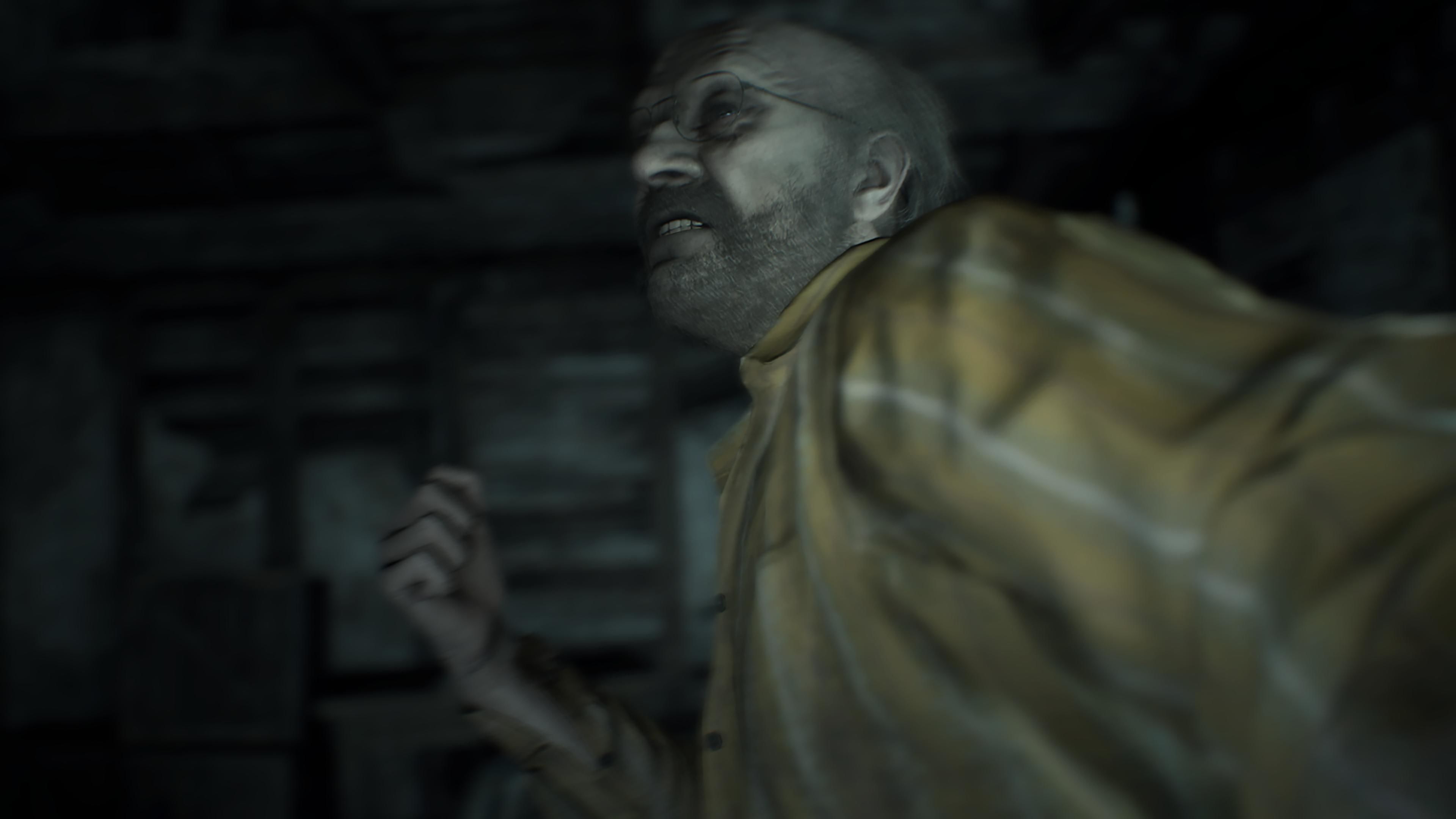 Скриншот из игры Resident Evil 7: Biohazard - 68