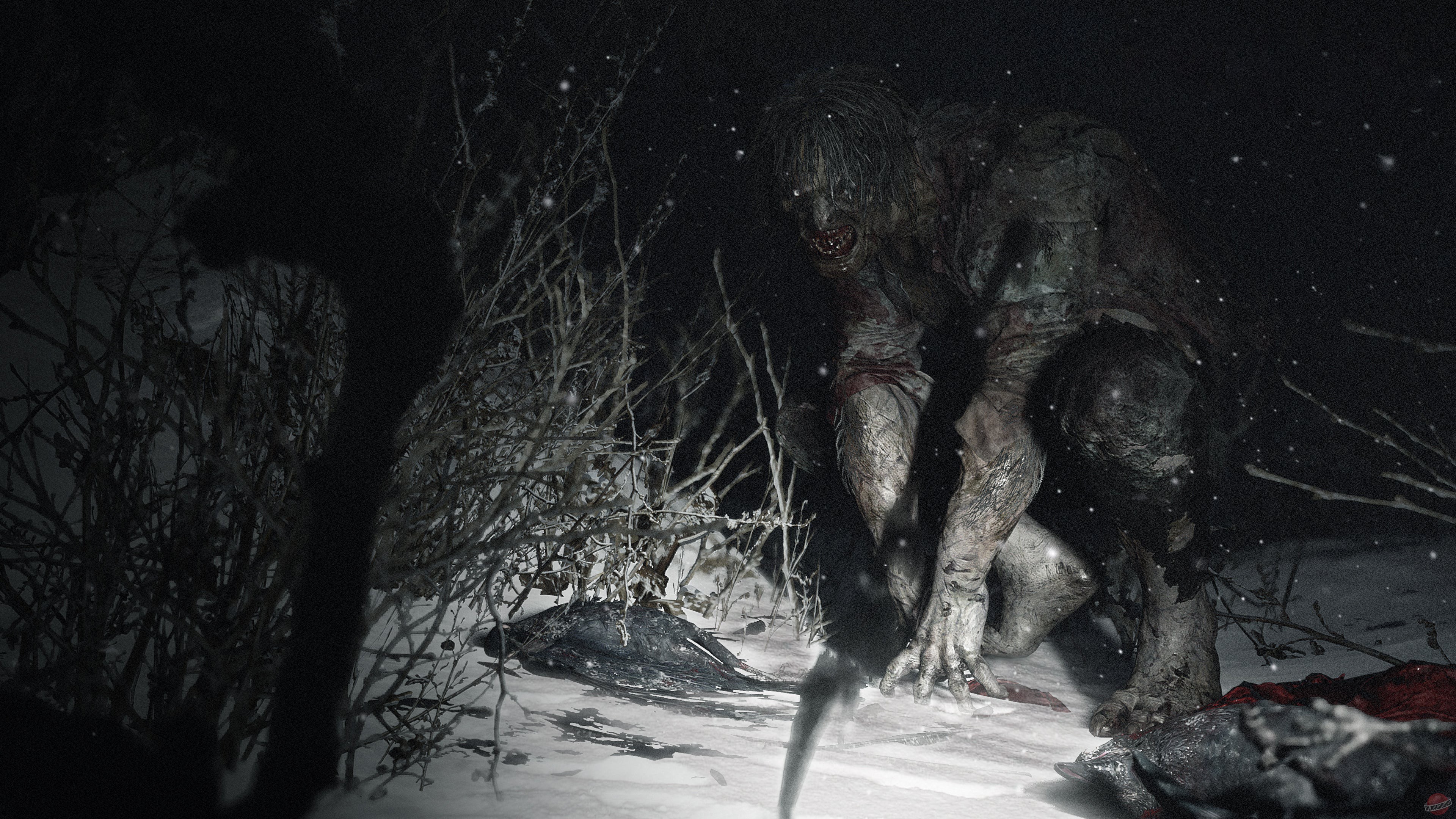 Скриншот из игры Resident Evil: Village - 144