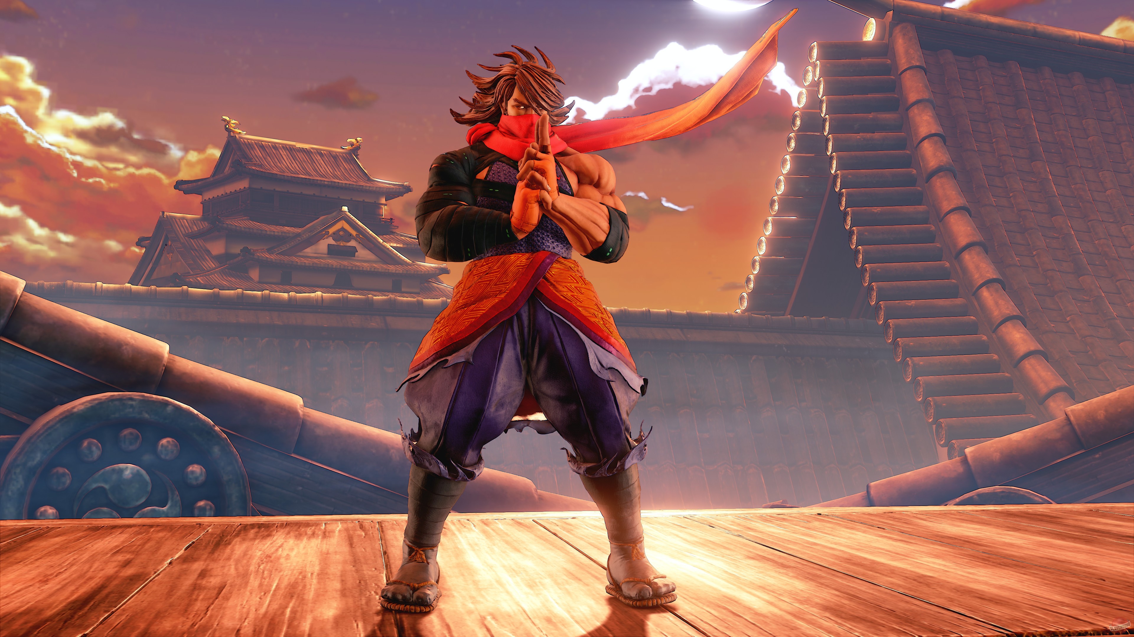 Скриншот из игры Street Fighter 5 - 475