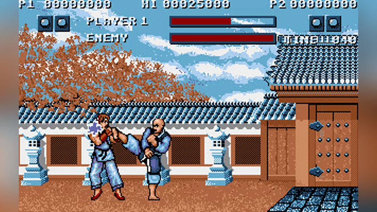 Скриншот из игры Street Fighter - 11