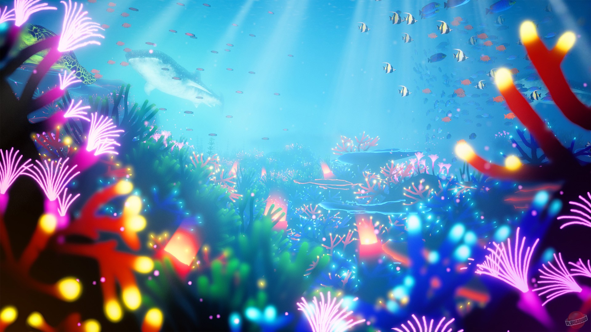 Скриншот из игры Koral - 5