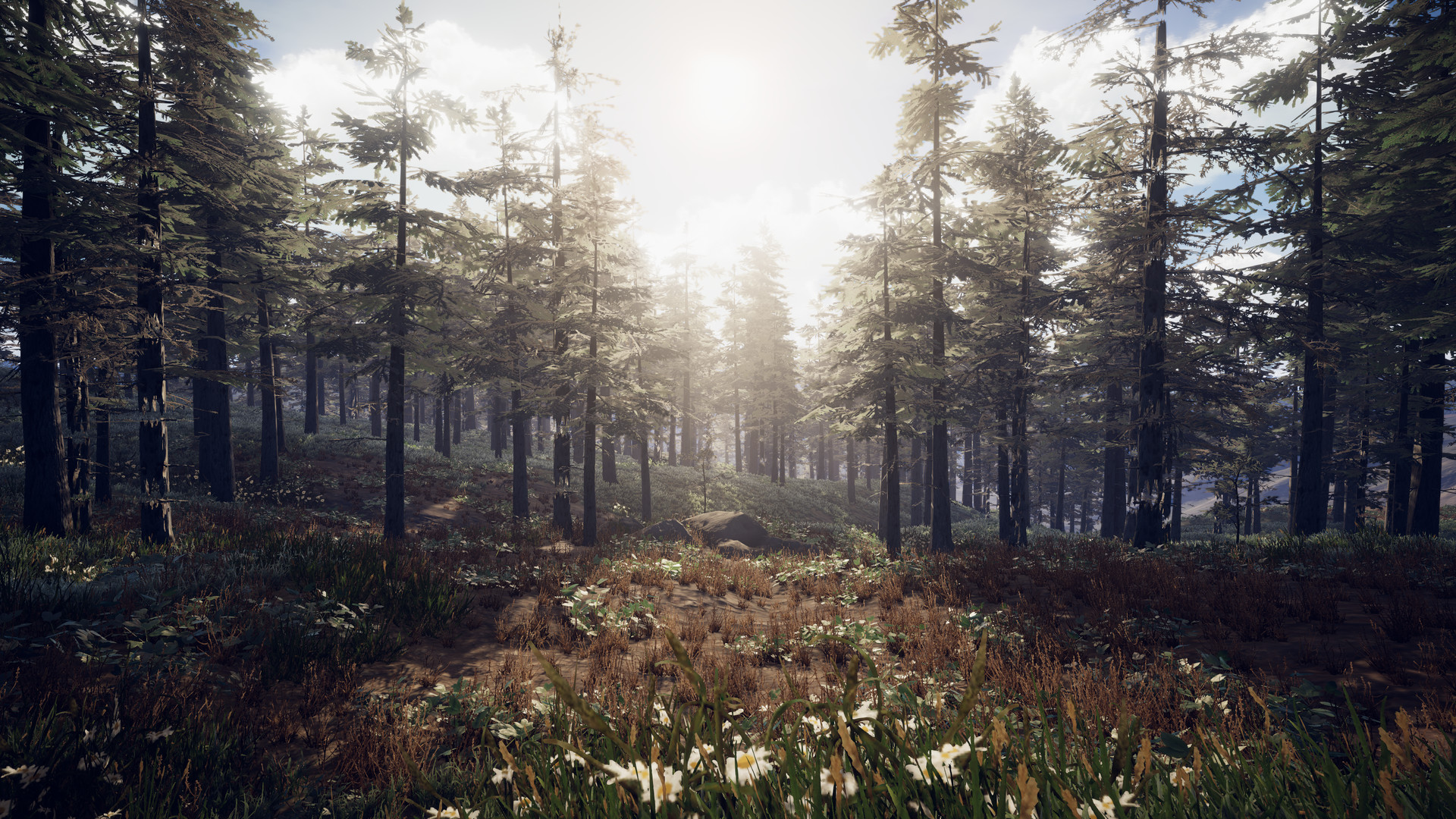 Скриншот из игры PROJECT D: Human Risen - 2