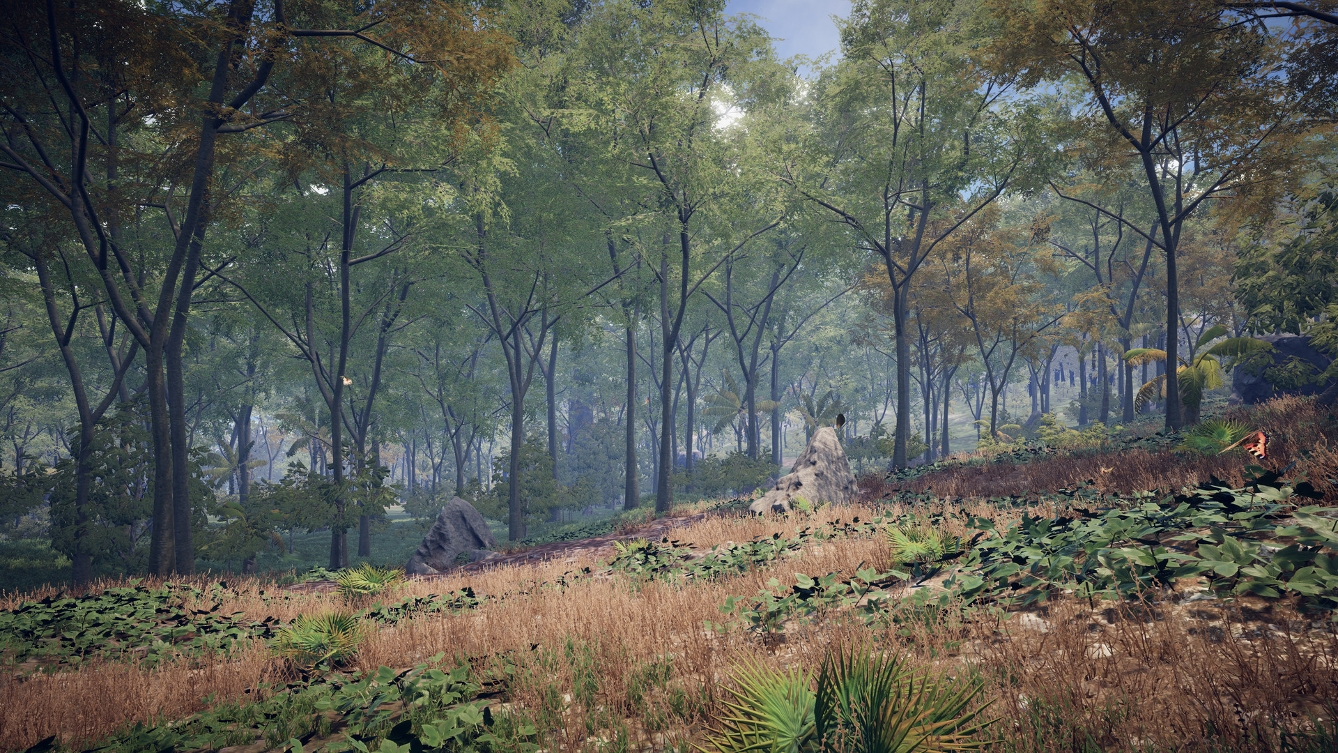 Скриншот из игры PROJECT D: Human Risen - 4