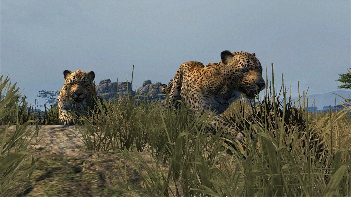 Скриншот из игры Cabela's Dangerous Hunts 2013 - 20
