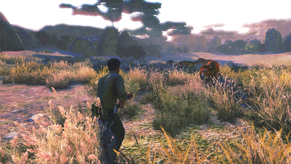 Скриншот из игры Cabela's African Adventures - 9