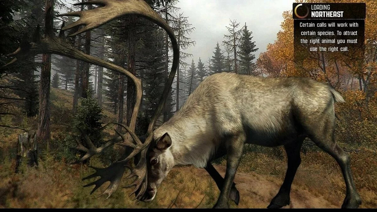 Скриншот из игры Cabela's Big Game Hunter: Pro Hunts - 5