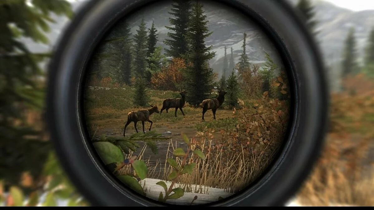 Скриншот из игры Cabela's Big Game Hunter: Pro Hunts - 10