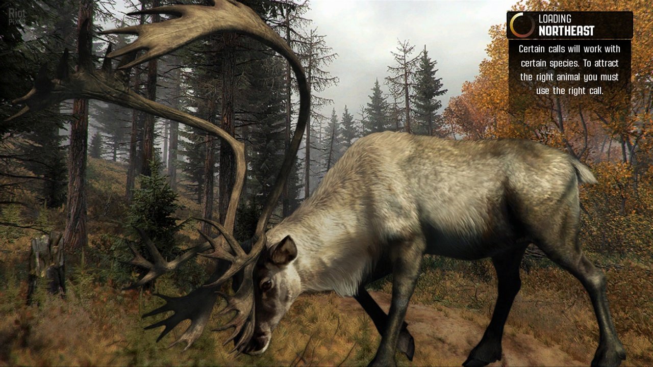 Скриншот из игры Cabela's Big Game Hunter: Pro Hunts - 9