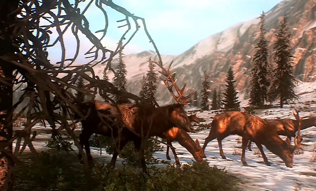 Скриншот из игры Cabela's Big Game Hunter: Pro Hunts - 16