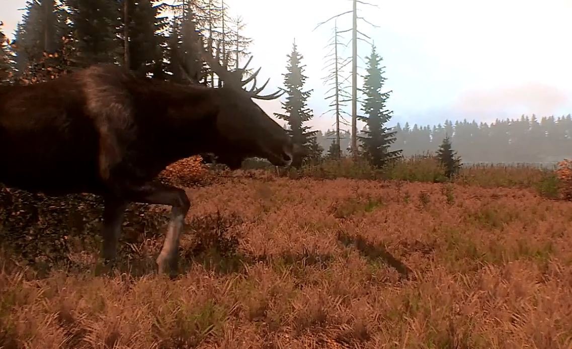 Скриншот из игры Cabela's Big Game Hunter: Pro Hunts - 6